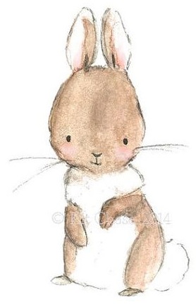 b9881074c5b557de87a0390e3242b91d