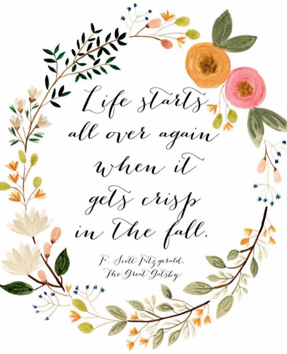 650b9ea0368809a6fba55132645dfd06